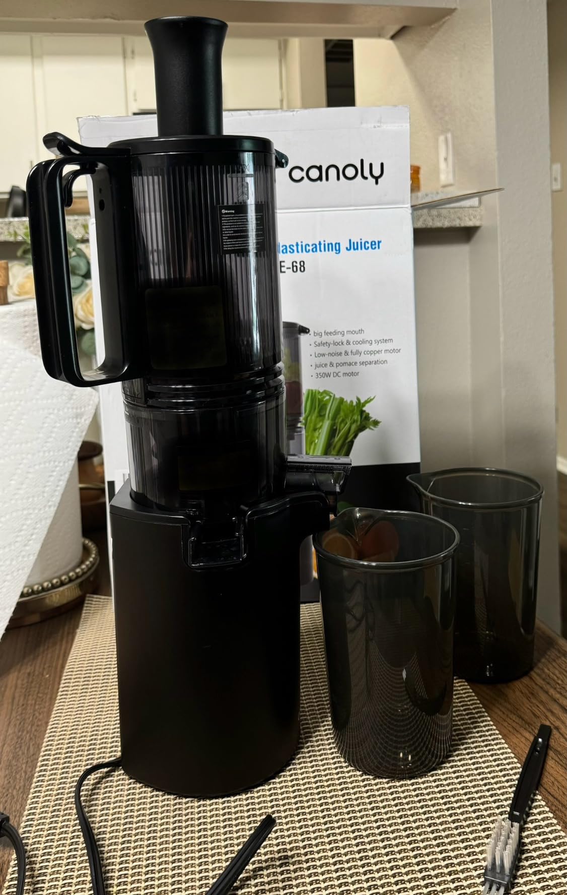 Canoly C09 Cold Press Juicer, 6