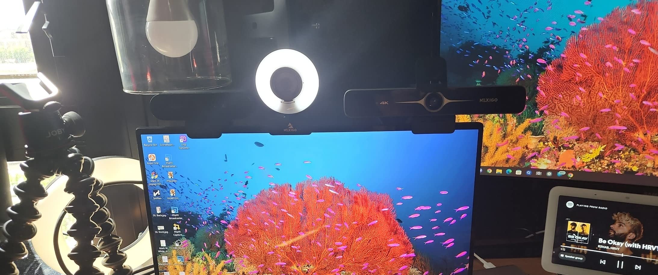 NexiGo N680E Pro 4K Webcam with Ring Light, PDAF Autofocus, 1080p 60FPS, Dual Noise-Canceling Mics, Privacy Shutter customer photo 2