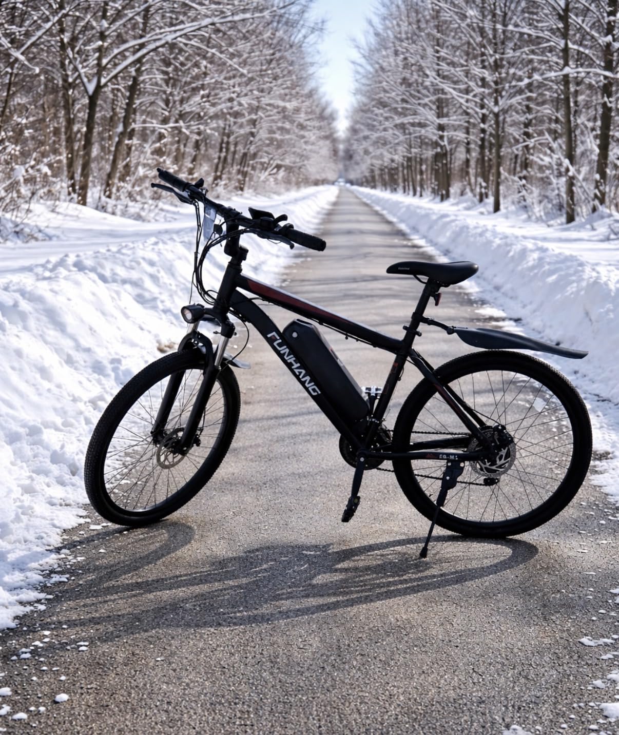 Electric Bike for Adults, 26