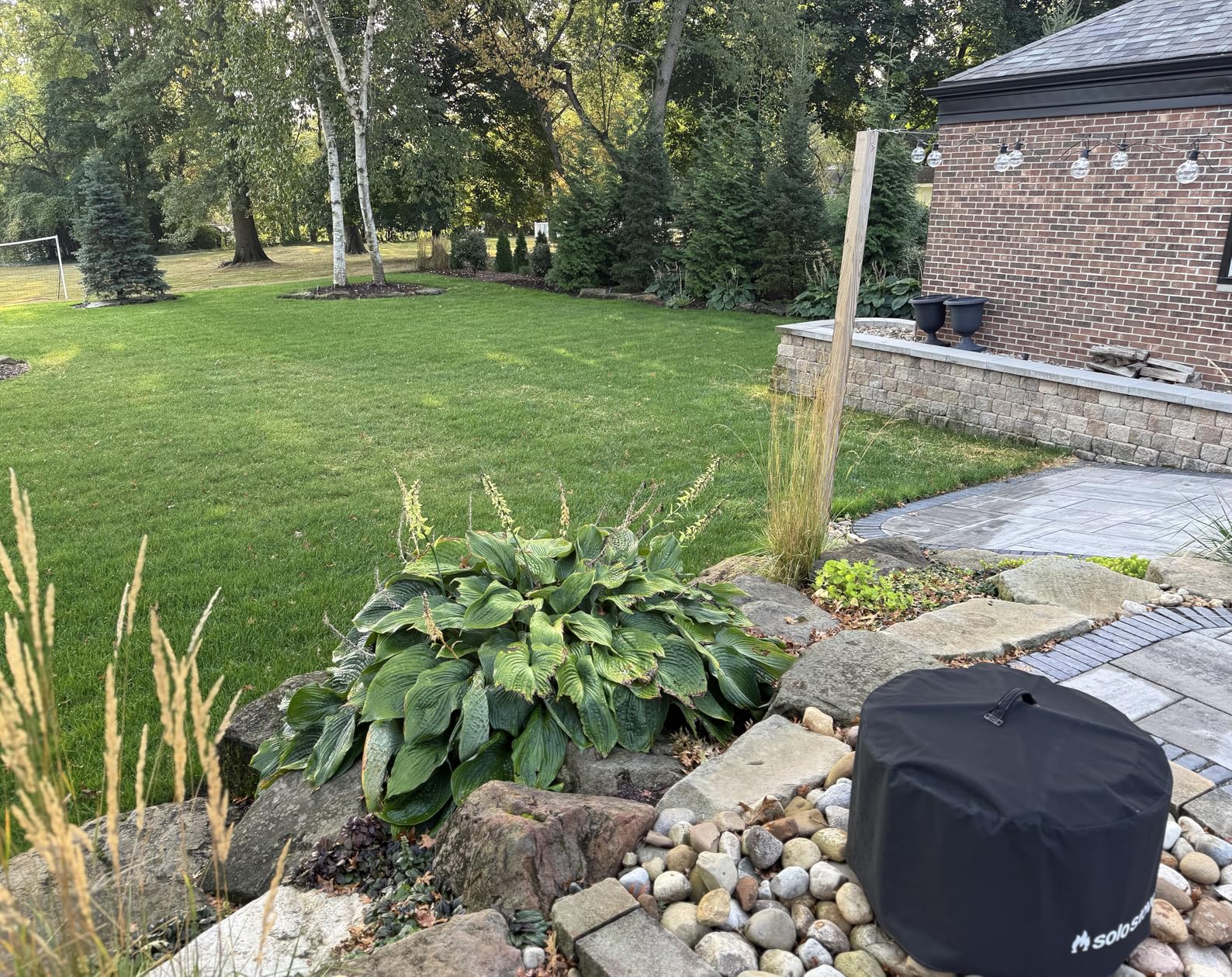 2026 Upgrade 16-Inch 15.5 Amp 2-in-1 Electric Dethatcher and Scarifier with 14.5-Gallon Collection Bag, Lawn Dethatcher with 5-Position Depth Adjustment, Keeps Lawn Healthy - Lime Green customer photo 1