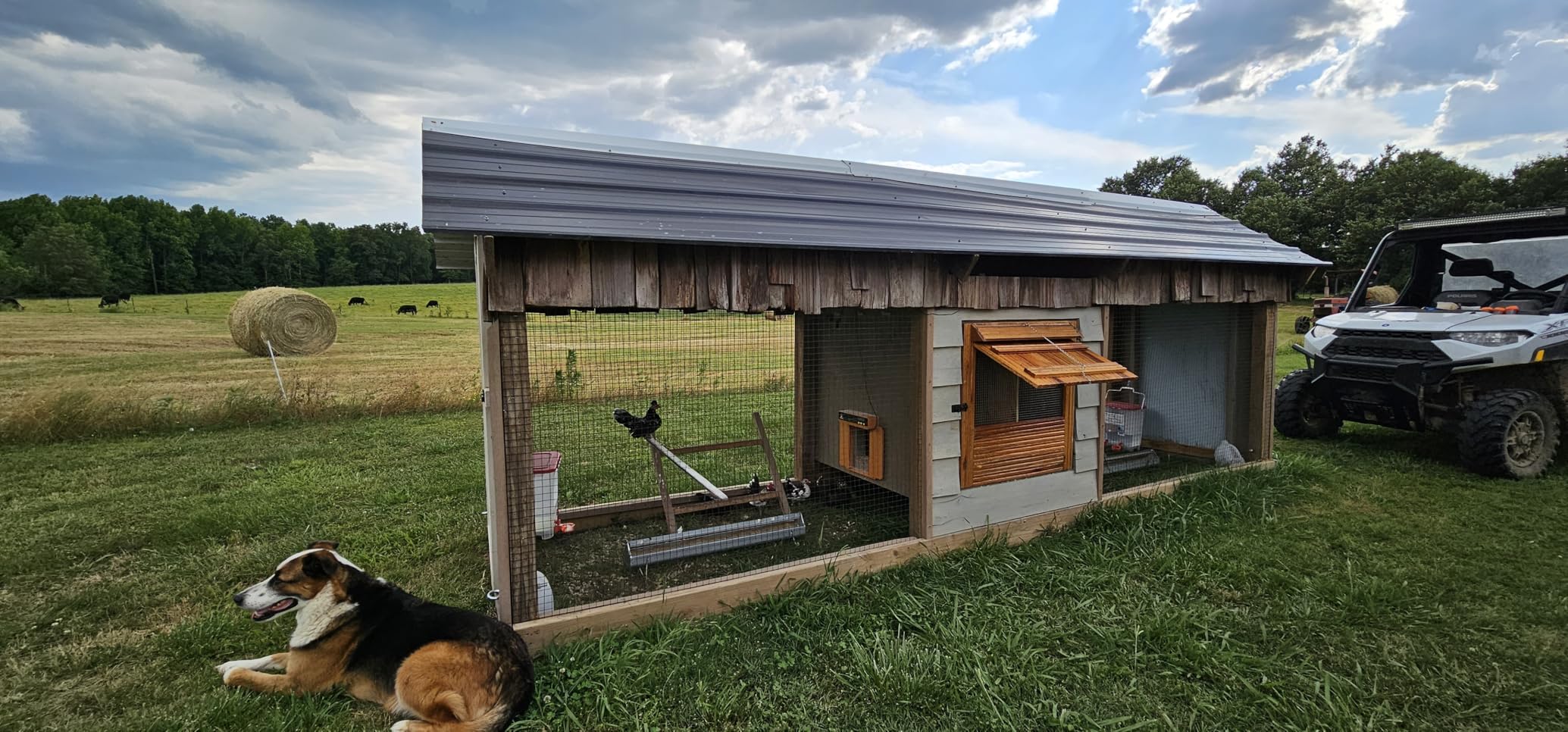 Solar-Powered Automatic Chicken Coop Door, Dual Motor Coop Door with Light Sensor, Timer & Manual Mode, Chicken Opener with Anti-Pinch System, Detachable Controller, Dual Power Options, Weatherproof customer photo 1