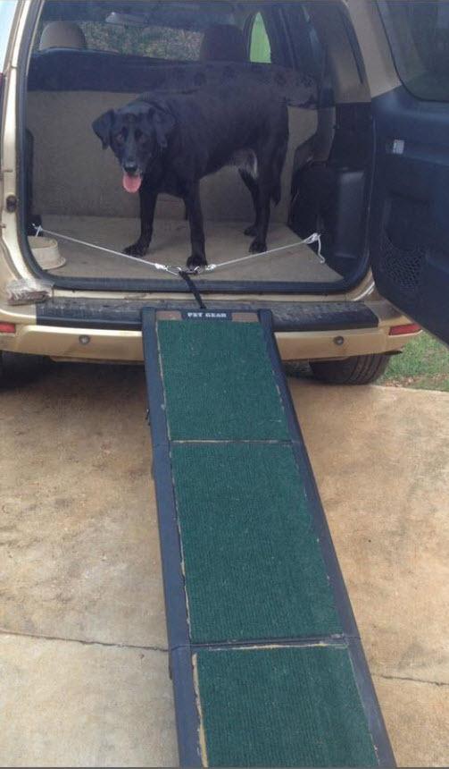 Pet Gear Travel Lite Ramps 71