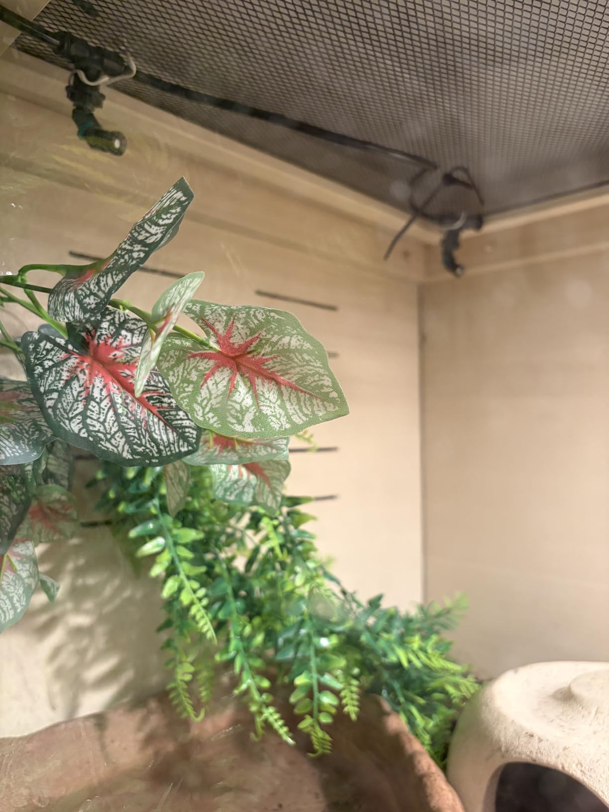 J&A Reptile Mister - Automatic Misting System for Reptile Tank & Terrarium, Auto Fogger with Adjustable Spray Nozzles, Quiet Operation for Lizards, Snakes, Chameleon, Plants (Black, New-Gen) customer photo 1