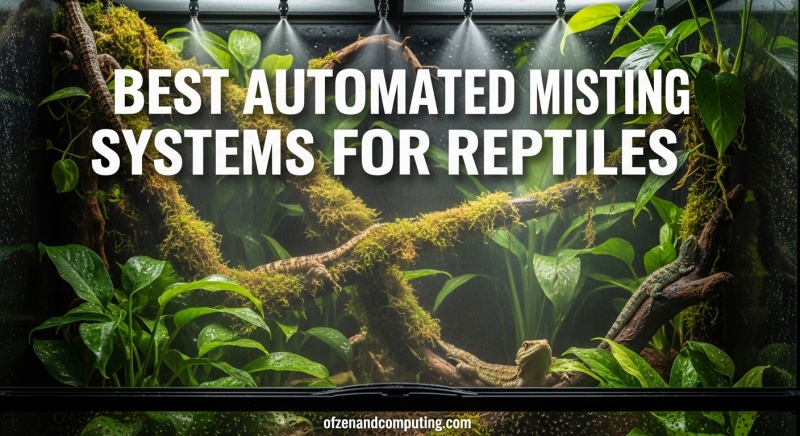 Best Automated Misting Systems for Reptiles