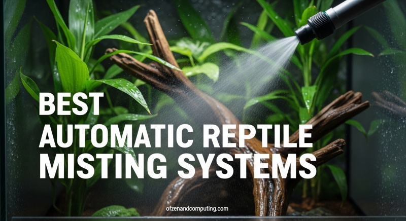 Best Automatic Reptile Misting Systems