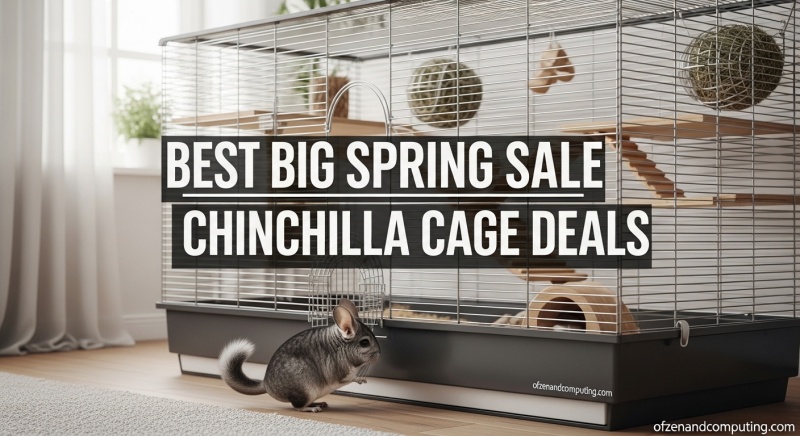 Best Big Spring Sale Chinchilla Cage Deals