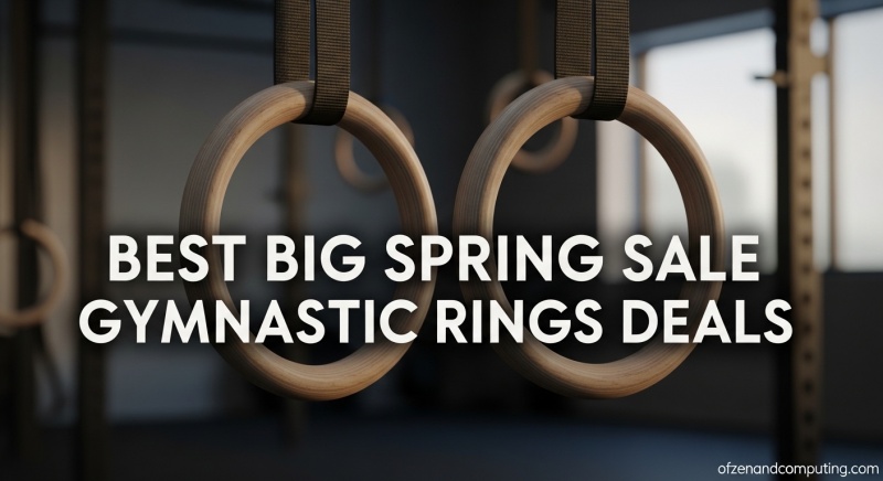 Best Big Spring Sale Gymnastic Rings Deals