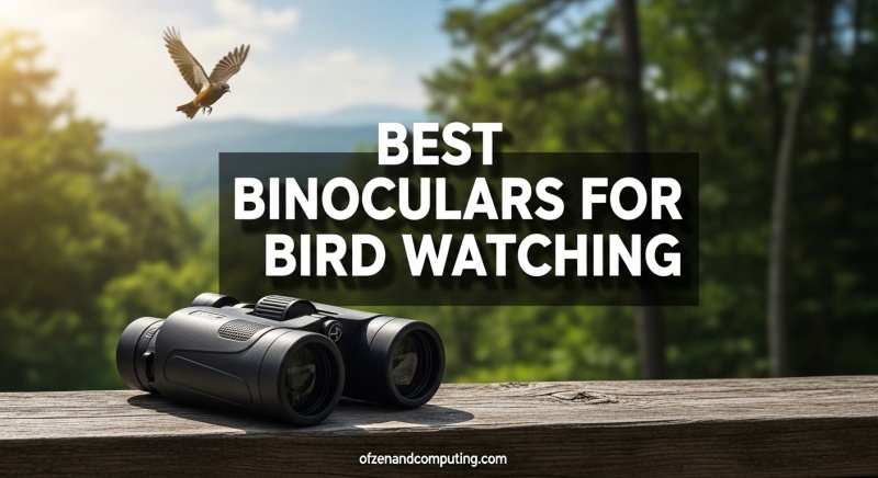 Best Binoculars for Bird Watching