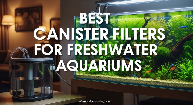 Best Canister Filters for Freshwater Aquariums
