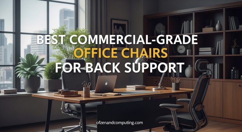 Best Commercial-Grade Office Chairs for Back Support