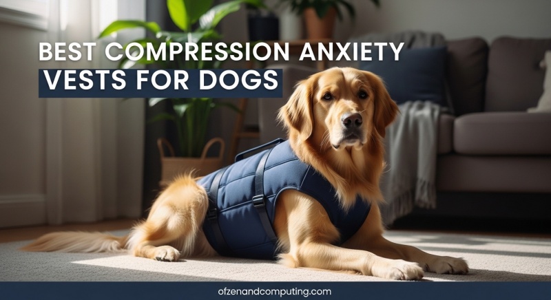 Best Compression Anxiety Vests for Dogs