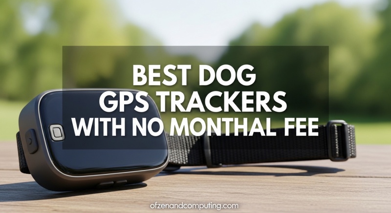 Best Dog GPS Trackers With No Monthly Fee