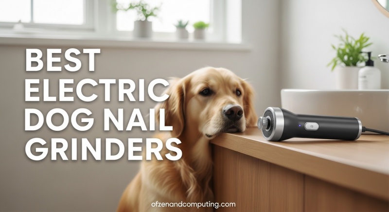 Best Electric Dog Nail Grinders