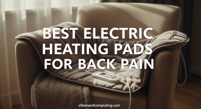 Best Electric Heating Pads for Back Pain