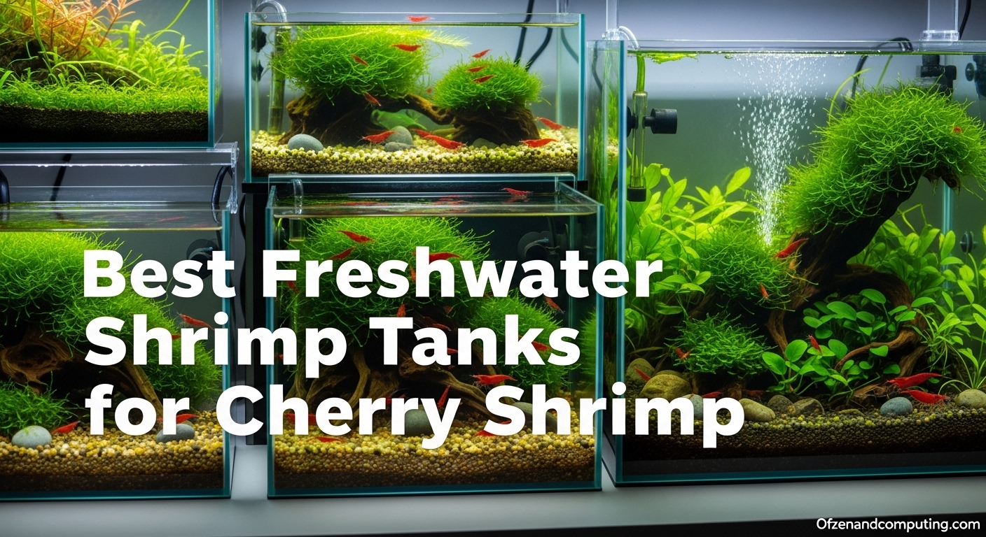 Best Freshwater Shrimp Tanks for Cherry Shrimp