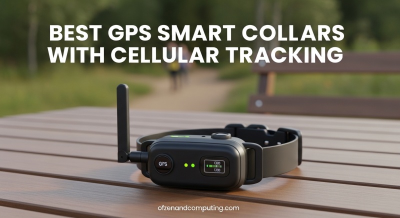 Best GPS Smart Collars with Cellular Tracking