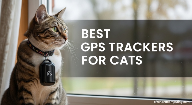 Best GPS Trackers for Cats