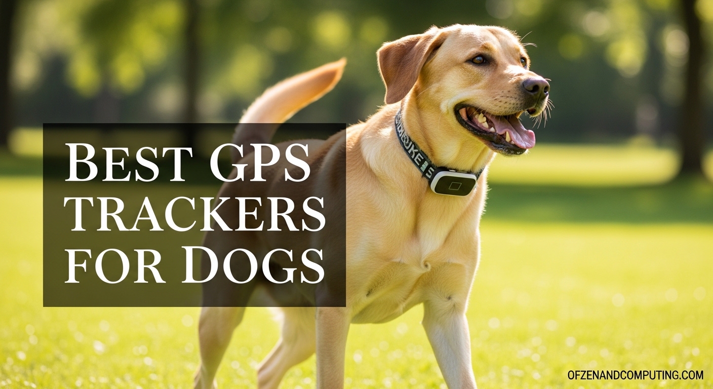 Best GPS Trackers for Dogs