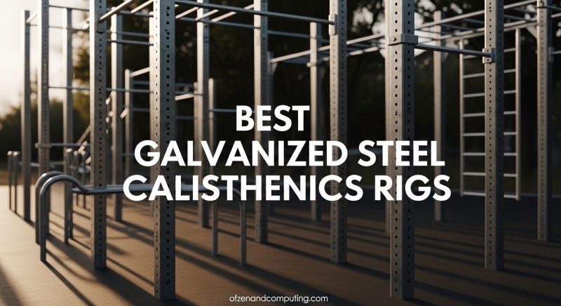 Best Galvanized Steel Calisthenics Rigs