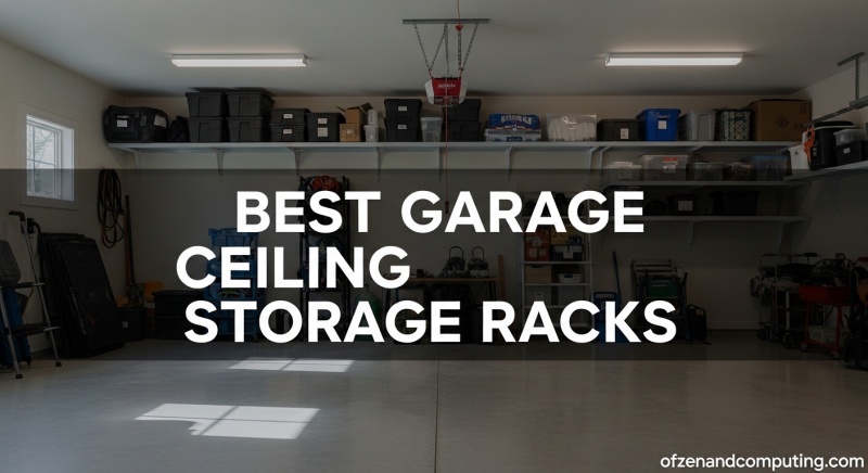 Best Garage Ceiling Storage Racks