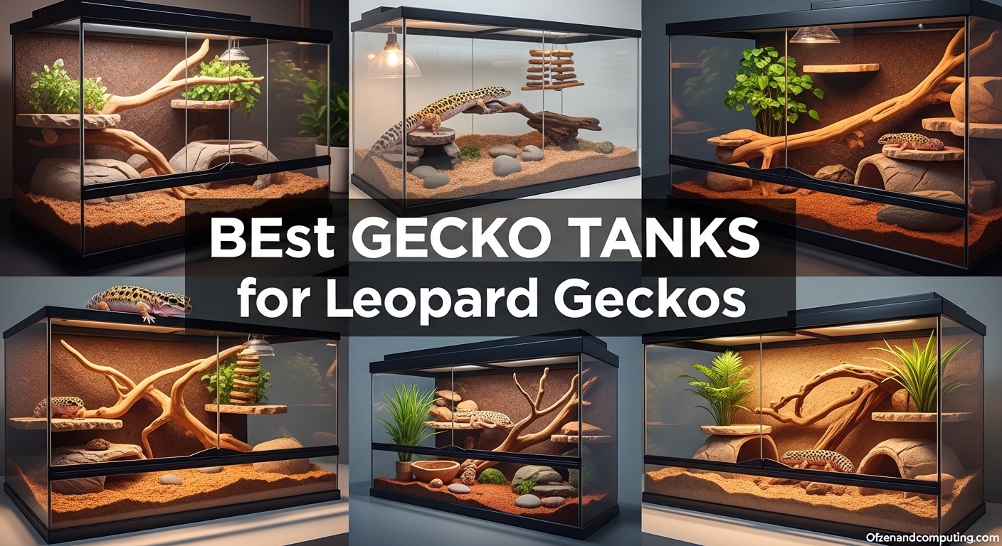 Best Gecko Tanks for Leopard Geckos