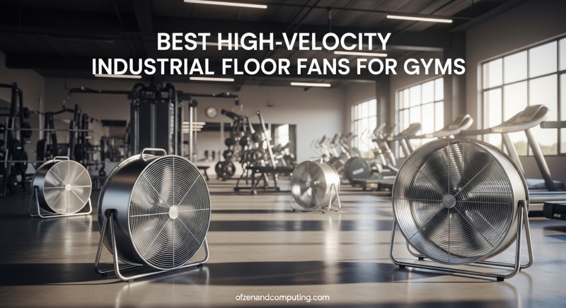 Best High-Velocity Industrial Floor Fans for Gyms