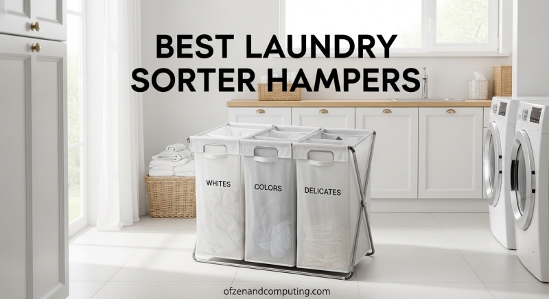 Best Laundry Sorter Hampers