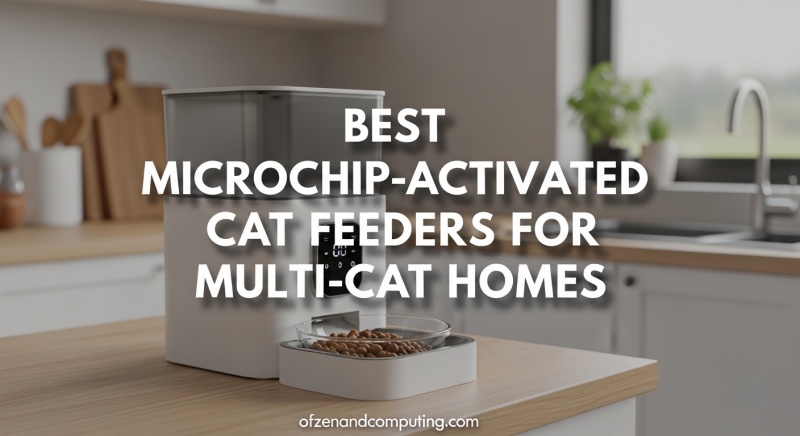 Best Microchip-Activated Cat Feeders for Multi-Cat Homes