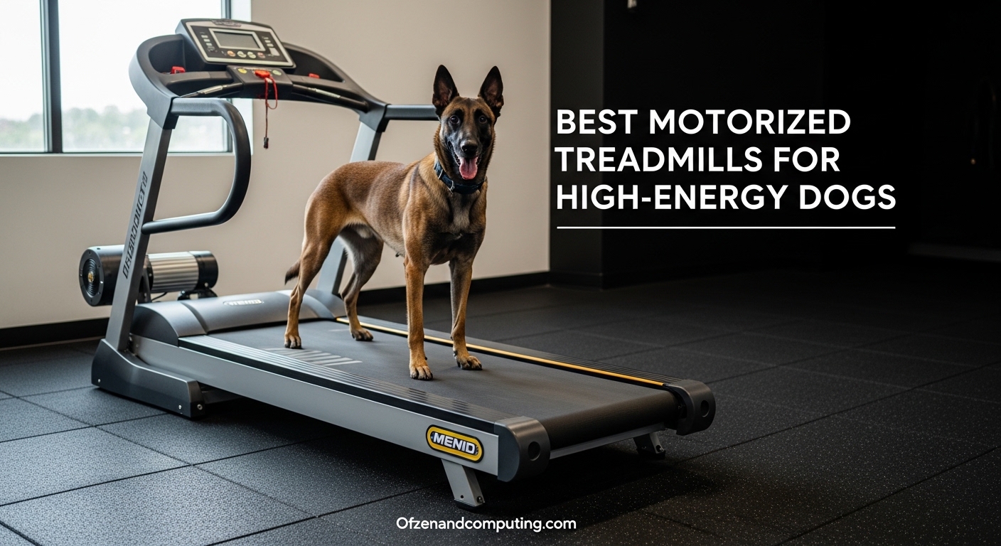 Best Motorized Treadmills for High-Energy Dogs