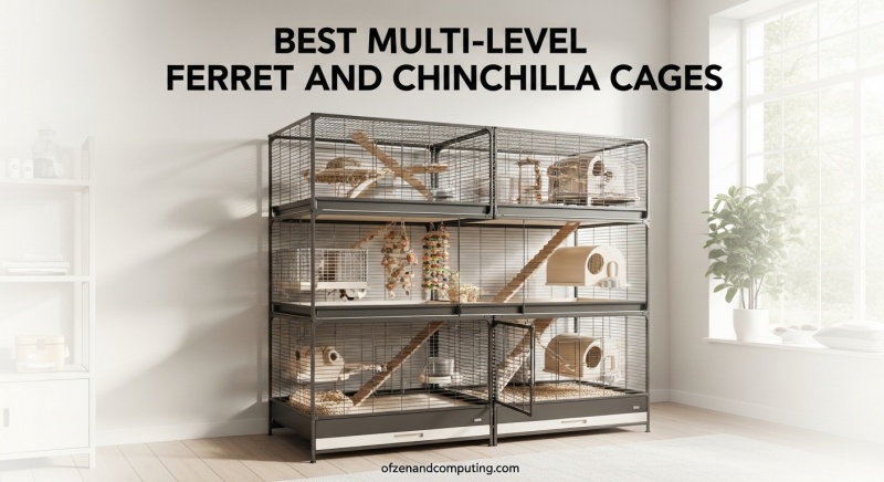 Best Multi-Level Ferret and Chinchilla Cages