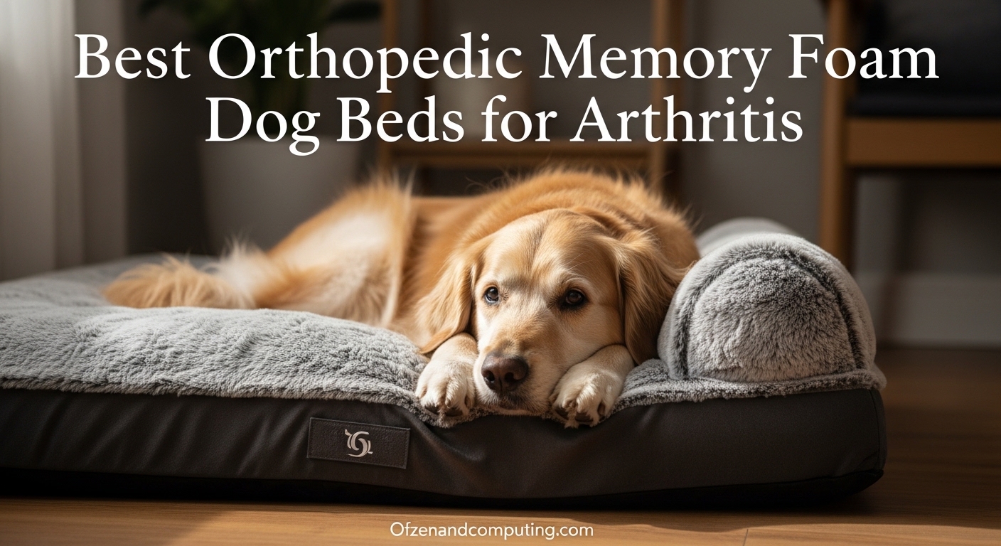Best Orthopedic Memory Foam Dog Beds for Arthritis