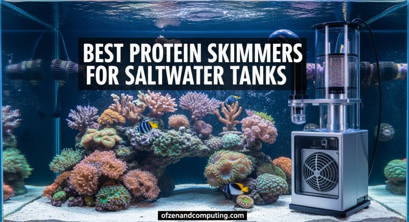 Best Protein Skimmers for Saltwater Tanks
