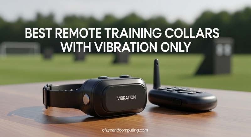 Best Remote Training Collars with Vibration Only