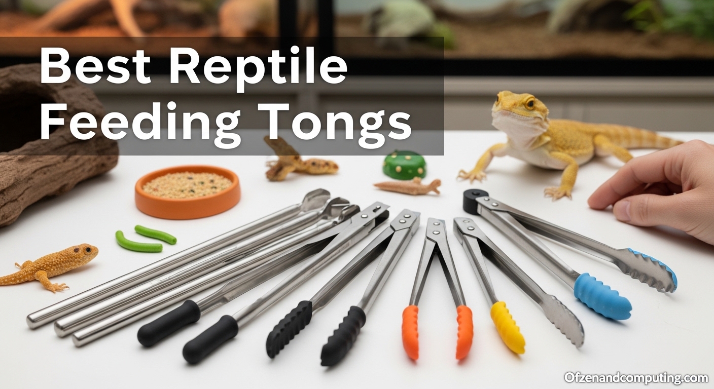 Best Reptile Feeding Tongs
