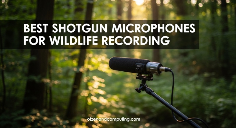 Best Shotgun Microphones for Wildlife Recording