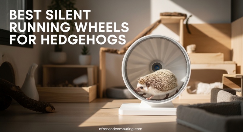 Best Silent Running Wheels for Hedgehogs