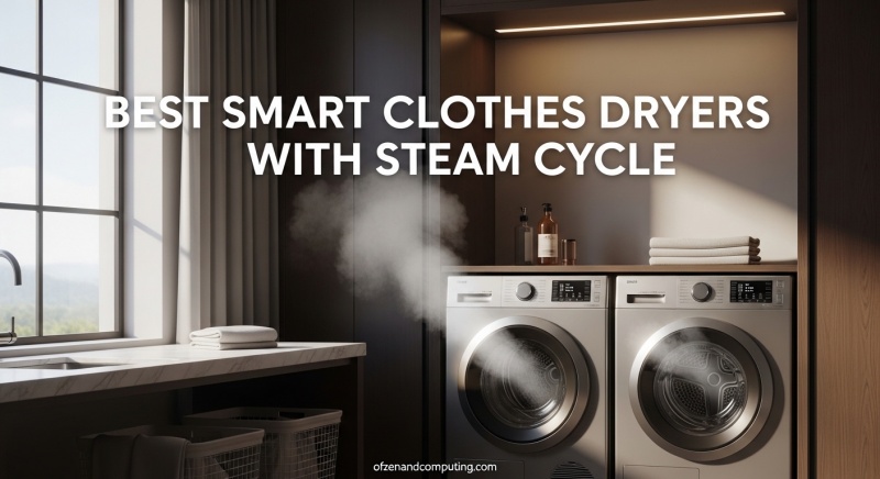 Best Smart Clothes Dryers with Steam Cycle