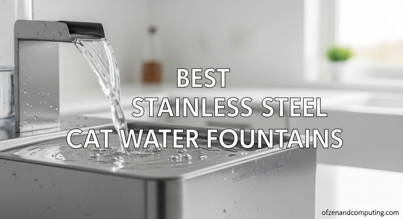 Best Stainless Steel Cat Water Fountains