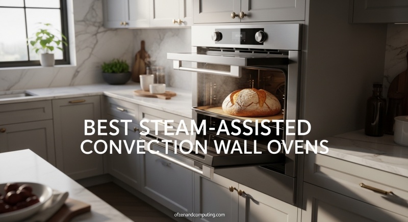 Best Steam-Assisted Convection Wall Ovens