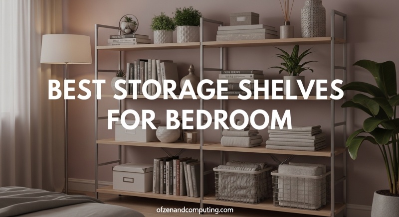 Best Storage Shelves for Bedroom