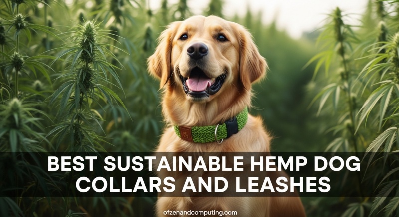 Best Sustainable Hemp Dog Collars and Leashes