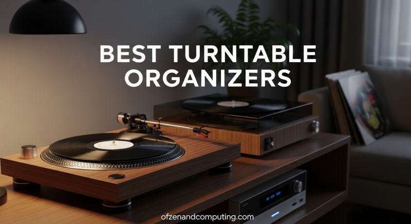 Best Turntable Organizers