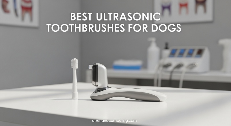 Best Ultrasonic Toothbrushes for Dogs