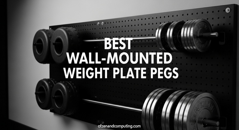 Best Wall-Mounted Weight Plate Pegs