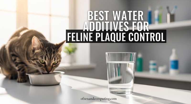 Best Water Additives for Feline Plaque Control