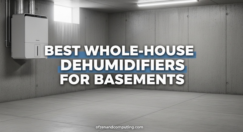 Best Whole-House Dehumidifiers for Basements