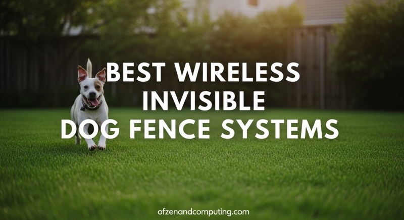 Best Wireless Invisible Dog Fence Systems