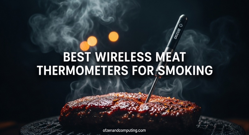 Best Wireless Meat Thermometers for Smoking