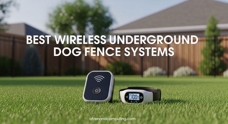 Best Wireless Underground Dog Fence Systems