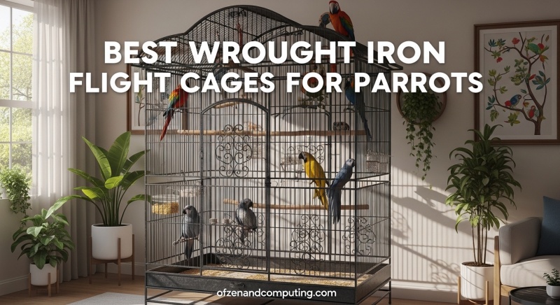 Best Wrought Iron Flight Cages for Parrots
